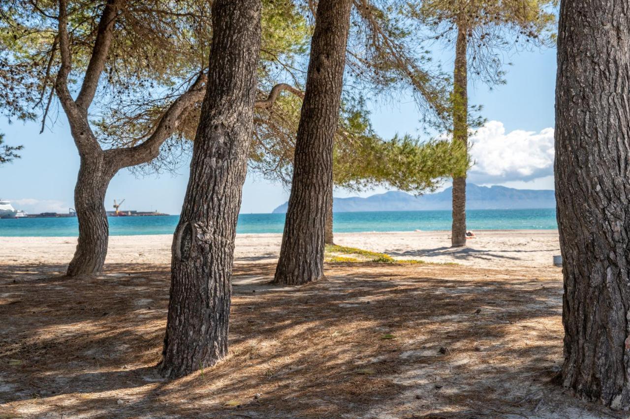 Mercuri Alcudia (Mallorca)